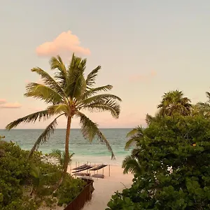 Hotel Libelula Beachfront Tulum